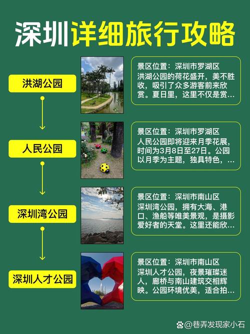 深圳私人导游服务：量身定制行程，深入体验都市魅力与文化